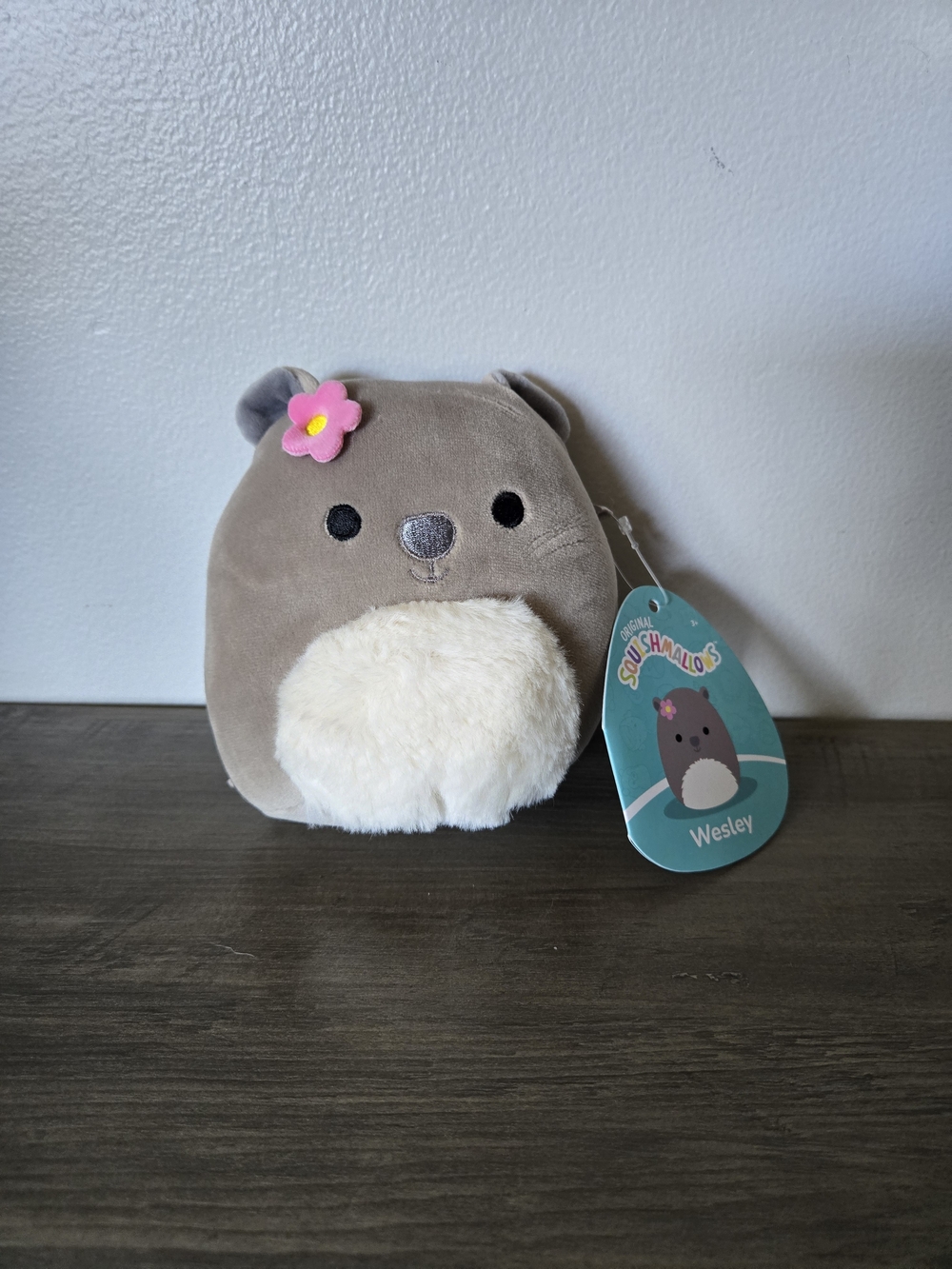 Squishmallows Wesley the Wombat 5" Plush Toy